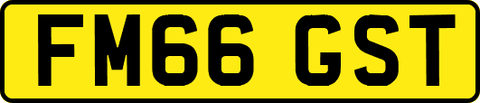 FM66GST