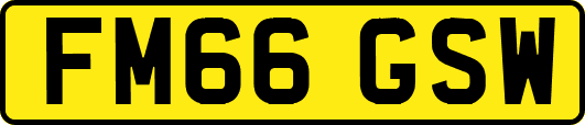 FM66GSW