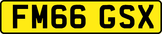 FM66GSX