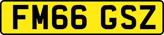 FM66GSZ