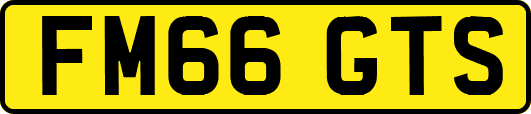 FM66GTS
