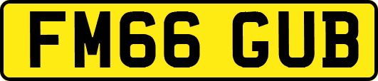 FM66GUB