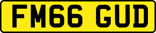 FM66GUD