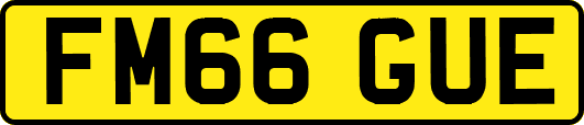 FM66GUE