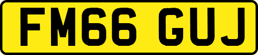 FM66GUJ