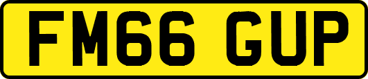 FM66GUP