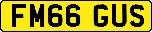 FM66GUS