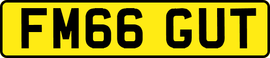 FM66GUT