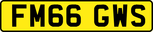 FM66GWS