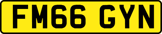 FM66GYN