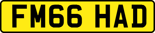 FM66HAD