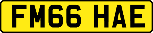 FM66HAE