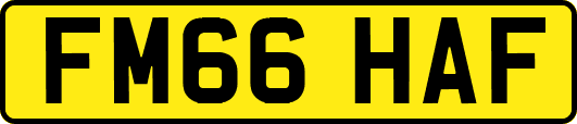 FM66HAF