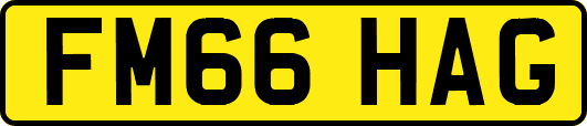 FM66HAG