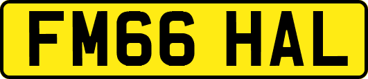 FM66HAL