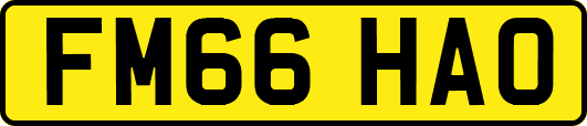 FM66HAO