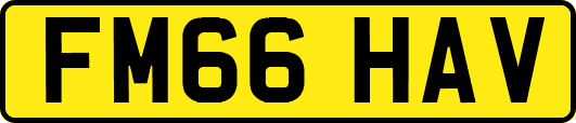 FM66HAV