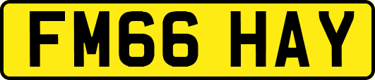 FM66HAY