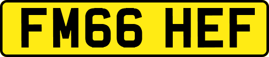 FM66HEF
