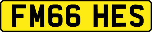 FM66HES