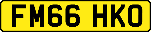 FM66HKO
