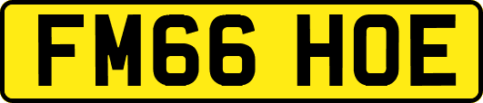 FM66HOE