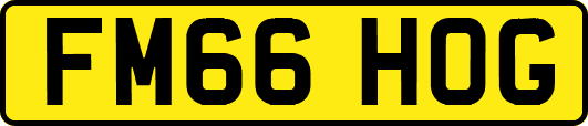 FM66HOG