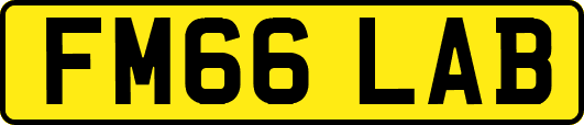 FM66LAB