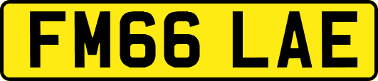 FM66LAE