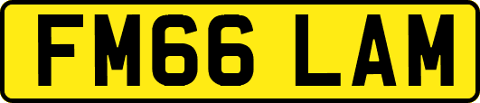 FM66LAM