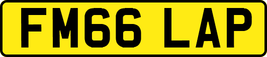 FM66LAP