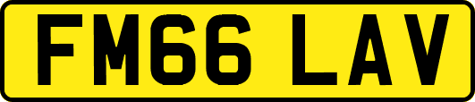 FM66LAV