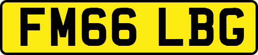 FM66LBG