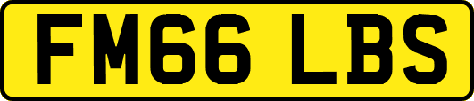 FM66LBS