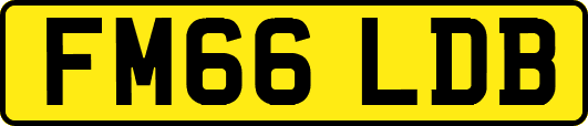 FM66LDB
