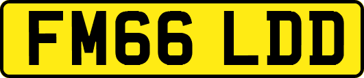 FM66LDD