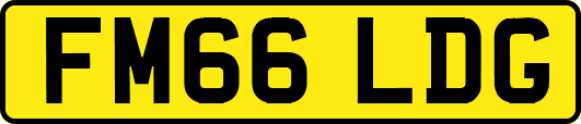 FM66LDG