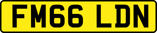 FM66LDN