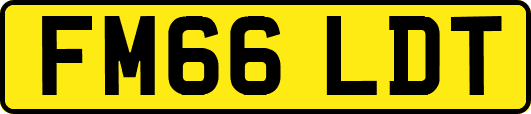 FM66LDT