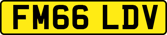 FM66LDV