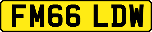 FM66LDW