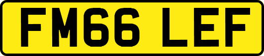 FM66LEF