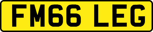 FM66LEG