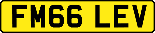 FM66LEV