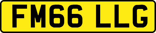 FM66LLG