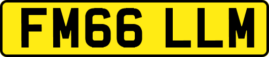 FM66LLM