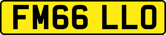 FM66LLO