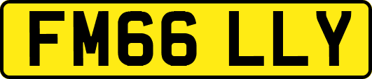 FM66LLY