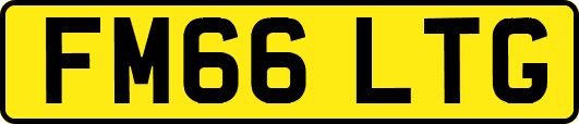 FM66LTG
