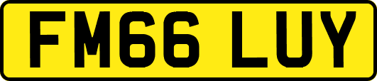 FM66LUY